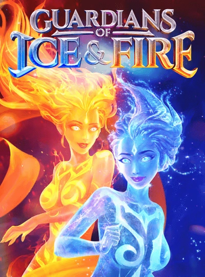 Live bingo show game cover